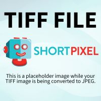 Logo_media4technologies